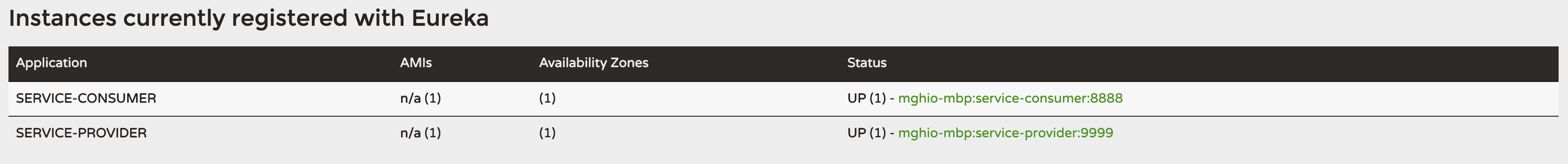 eureka-instance-registered-currently.png